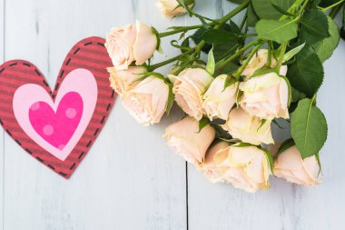 Pembe Gül Sevgililer günü için kapatın. Tebrik kartı kavramı.