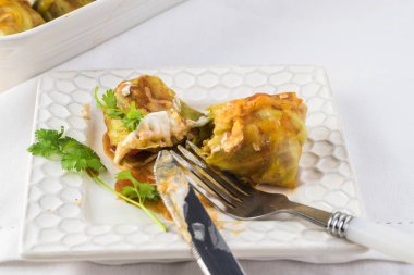 Ev yapımı lahana yaprağı tavuk enchiladas.