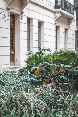 Zarif sıva detaylarıyla beyaz, klasik bina cephesi ve yemyeşil bahçe önplanı.