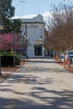 Boş Paved Yaya Yolu Ağaçlar ve Köşe Binası ile Sıralanmış
