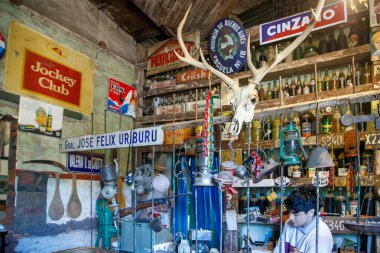 Eski tabelaları, şişeleri ve geyik kafatası olan kırsal, antika bir mağazanın içi darmadağınık.
