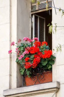 Pencere pervazında çiçekler olan pencerenin gündüz görünümü 