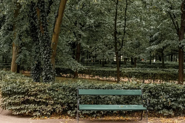 Green Bench Botanical Park — Stock Photo, Image