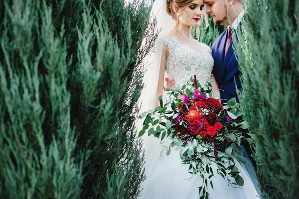 Hochzeitspaar Park Braut Und Bräutigam Liebe Zwei Personen Die Braut — Stockfoto