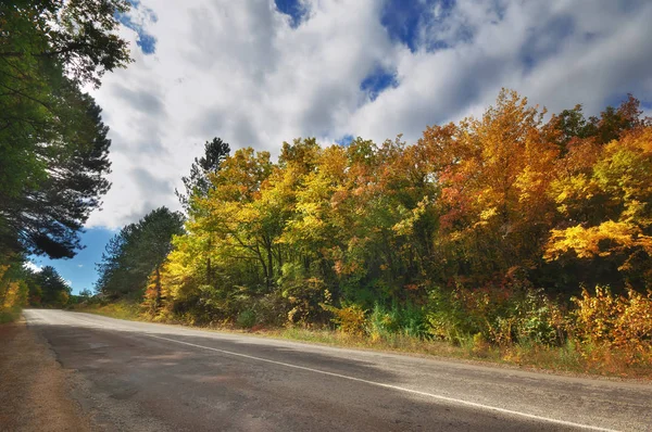 Asphalt Road Path Walkway Beautiful Autumn Forest Stock Image