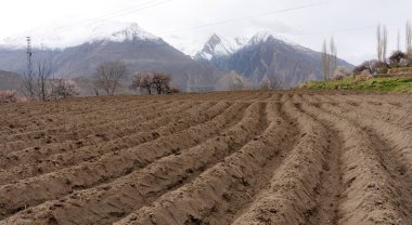 Boş tarım toprak alan, sebze Bahçe için hazırlık