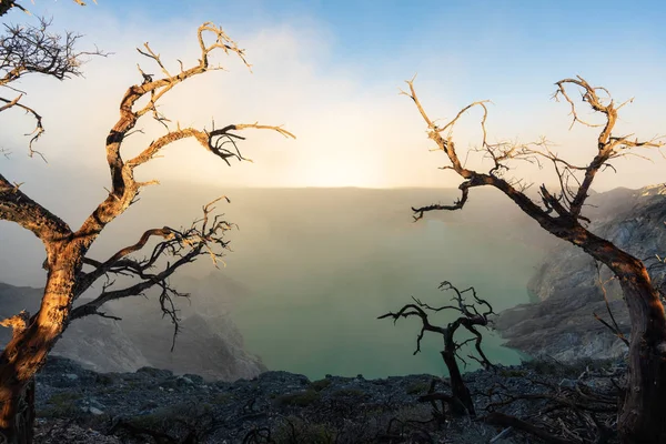 Alberi Morti Fumo Con Lago Sul Vulcano Kawah Ijen Famosa — Foto Stock