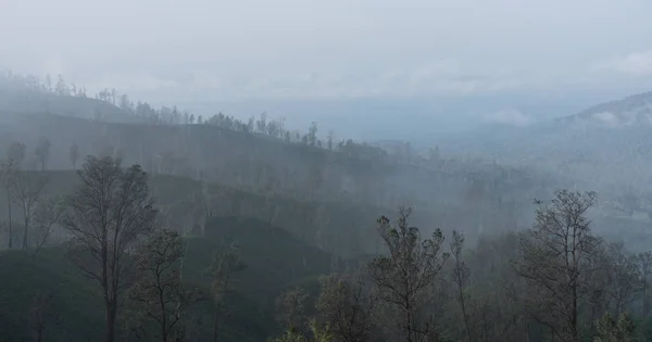 Air pollution, smog over forests near kawah Ijen volcanic in Indonesia