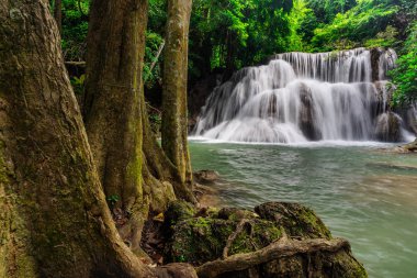 Güzel şelale tropikal yağmur ormanlarında Kanchanaburi, Tayland