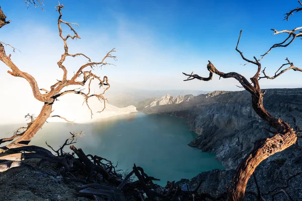 나무와 인도네시아에서 Kawah Ijen 유명한 목적지 명소에 호수와 — 스톡 사진