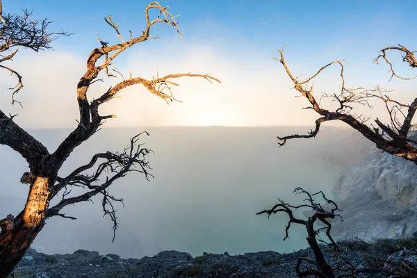 Árboles Muertos Humo Con Lago Volcán Kawah Ijen Famoso Destino — Foto de Stock