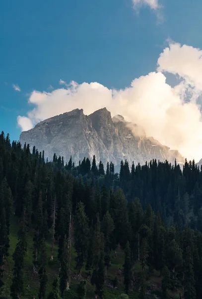 Montagna Panoramica Pineta Valle Con Nube Bianca Cielo Blu Sonamarg — Foto Stock