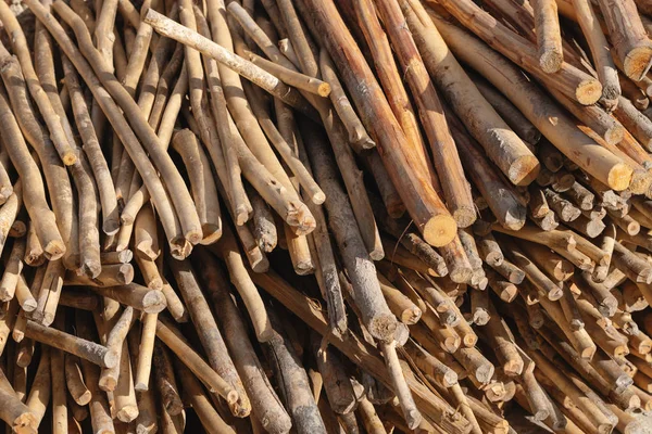 Piles Logs Firewood Preparing Winter — Stock Photo, Image