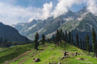 Yaz aylarında, bir adam Sonamarg, Jammu ve Keşmir Hindistan de sabah çayır ve çam ormanlar dağ manzaralı yürüyüş sırt çantası ile seyahat