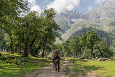 Yaz, yaz Sonamarg, Jammu ve Keşmir Hindistan at binme backpacker seyahat