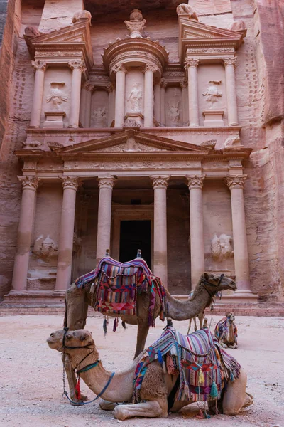 Tesouro Arquitetura Antiga Com Camelos Vale Petra Jordânia — Fotografia de Stock