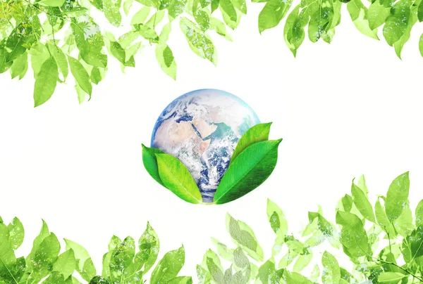 Dia Mundial Terra Símbolo Abstrato Ambiental Mundo Com Folhas Verdes — Fotografia de Stock