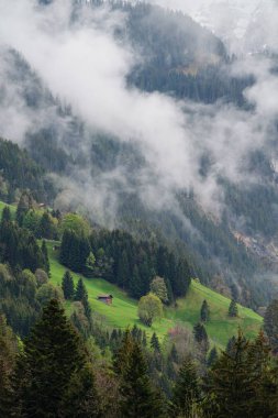 Lauterbrunnen, İsviçre yaz aylarında bir ev ile dağda sisli çevre ile Orman manzara