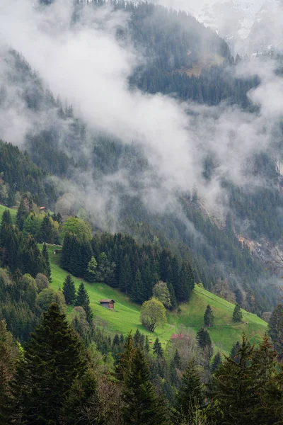 瑞士劳特布伦宁夏季有一座房子 山上环境多雾的森林景观 — 图库照片