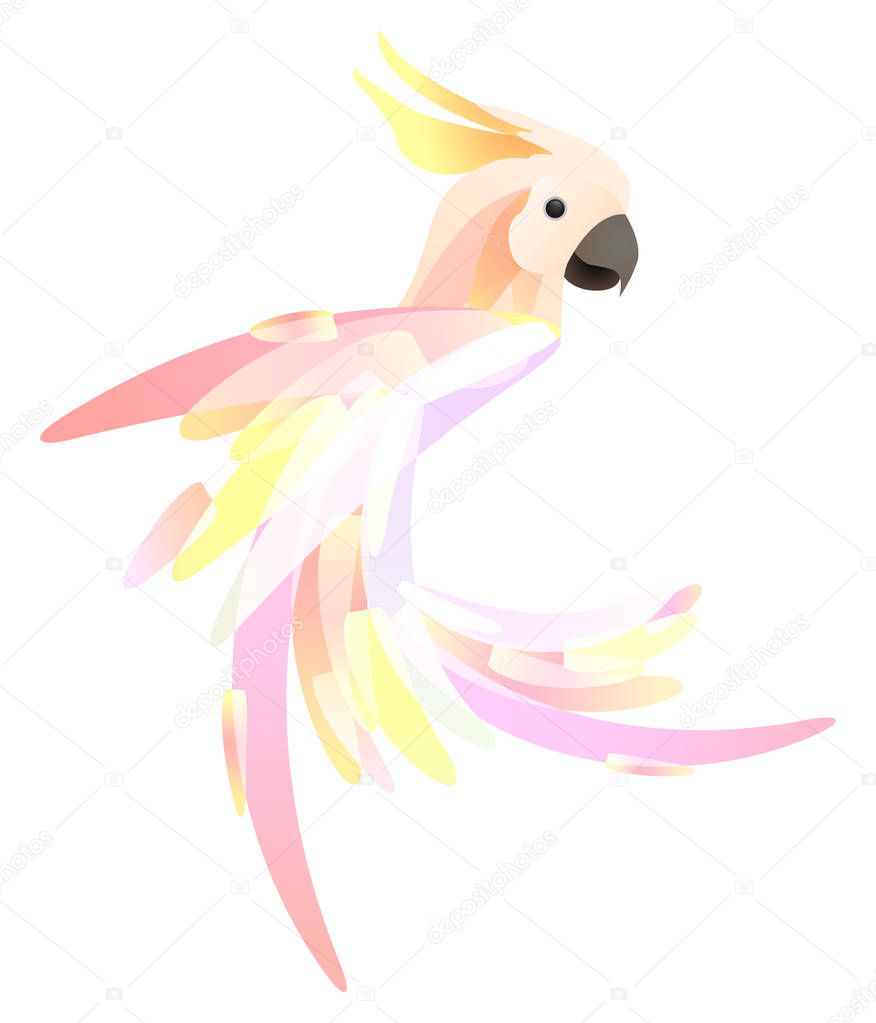 Stylized illustration of a parrot cockatoo with a multicolored tail. Vector element for logos, icons and your design