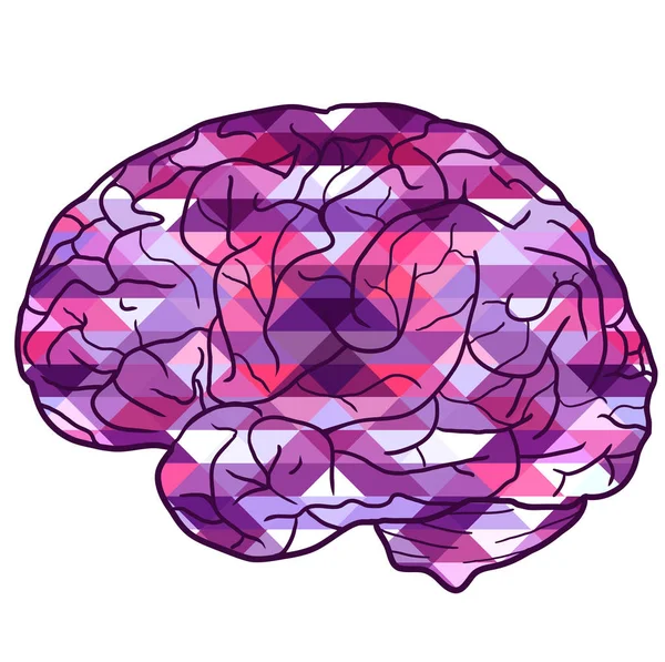 Ilustración Del Cerebro Humano Con Fondo Poligonal Vista Lateral Elemento — Vector de stock