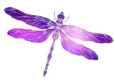 Yusufçuk illüstrasyon boho desen ve kozmik arka plan ile. T-shirtler, kartpostallar ve yaratıcılığınızı yazdırma dövmeleri, çizim için vektör öğesi