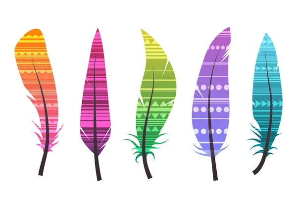 Conjunto Diferentes Plumas Colores Con Patrón Étnico Elementos Nativos Vectoriales — Vector de stock