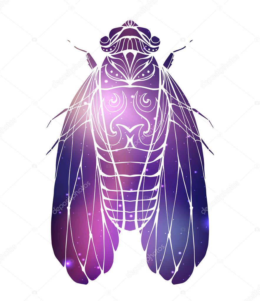 Hand drawn vintage cicada with a boho pattern and cosmic background. Insect with doodle pattern. Vector element for tattoo sketch, printing on T-shirts, postcards and your design 