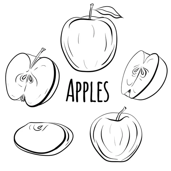 Reihe Von Äpfeln Verschiedenen Formen Äpfel Einzeln Und Halbieren Schwarz — Stockvektor