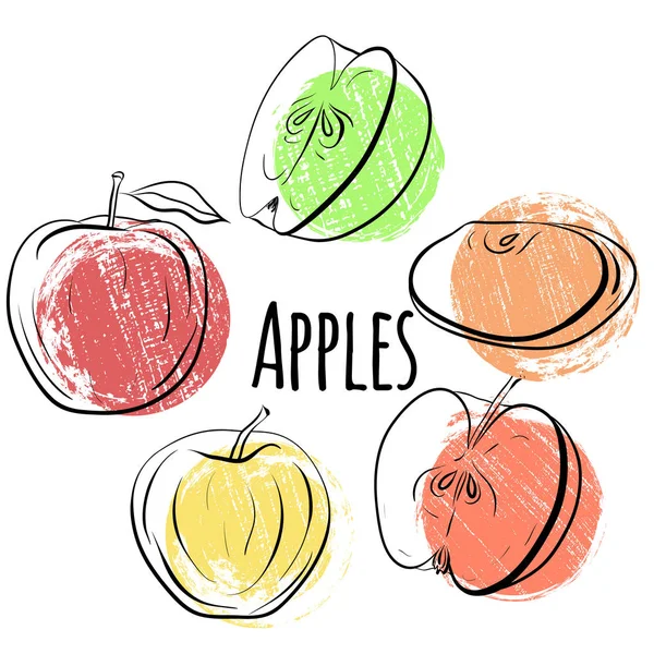 Reihe Von Äpfeln Verschiedenen Formen Einzelne Äpfel Und Äpfelhälften Mit — Stockvektor