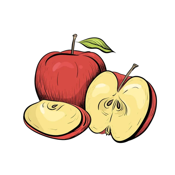 Farbige Gestochene Darstellung Von Äpfeln Schraffierte Zeichnung Das Objekt Ist — Stockvektor