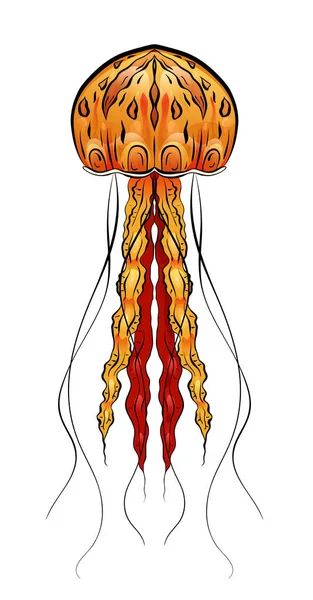 Illustrazione Colorata Meduse Oggetto Separato Dallo Sfondo Illustrazione Stampa Magliette — Vettoriale Stock