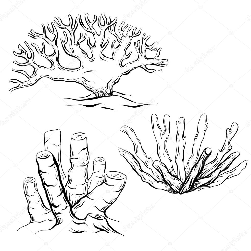 Set of various black and white contour cartoon corals. The object is separate from the background. Linear illustration for printing on T-shirts, covers, sketches of tattoos and your design.