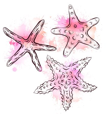 Denizyıldızı pembe suluboya sıçraması ile kontur siyah beyaz Illustration. Arka plandan ayrı bir nesnedir. Doğrusal illüstrasyon t-shirtler, kapaklar, Dövmeler Eskizler ve tasarım üzerine basım için.