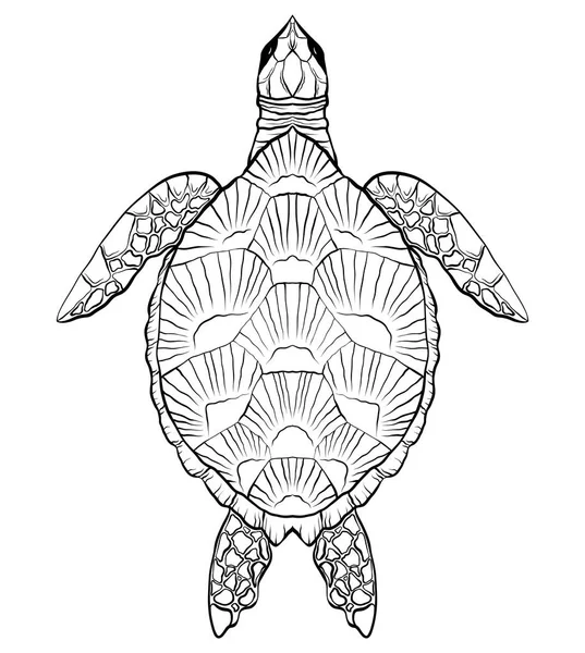 Contorno Ilustración Blanco Negro Tortuga Objeto Está Separado Del Fondo — Vector de stock