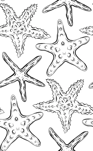 Бесшовная Черно Белая Текстура Контурными Морскими Звёздами Векторный Рисунок Мбаппе — стоковый вектор