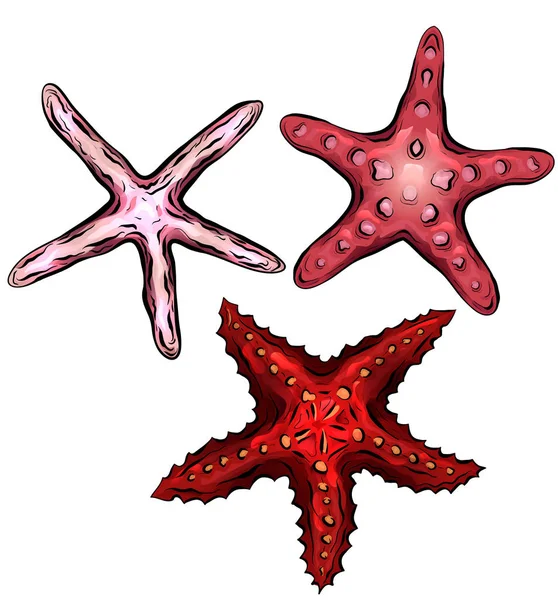 Starfishes Renkli Karikatür Çizimleri Kümesi Arka Plandan Ayrı Bir Nesnedir — Stok Vektör