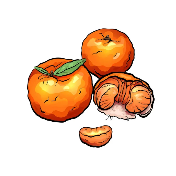 Dibujos Animados Color Ilustraciones Mandarina Cítricos Objeto Está Separado Del — Vector de stock