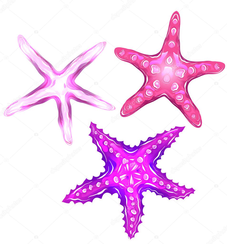 Set of neon cartoon illustrations of starfishes. The object is separate from the background. Illustration for printing on T-shirts, covers, sketches of tattoos and your design.