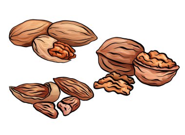 Renkli karikatür fındık kümesi. Ceviz, cevizli ve Bademli Kit. Nesneleri ayrı arka plan. Menü, yemek tarifleri, kartları ve tasarımınız için vektör öğesi.