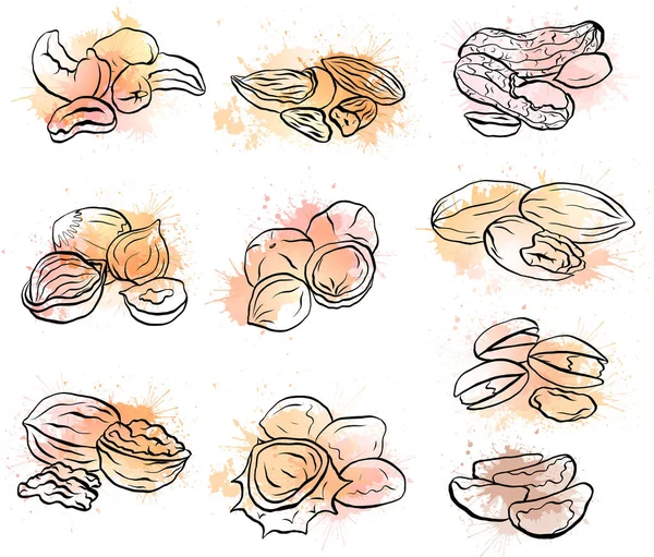 Sada Kontury Kresby Různých Typů Matic Akvarel Postříkání Objekty Oddělit — Stockový vektor