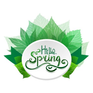 Yuvarlak kart ile el yazısı harfler Merhaba, Bahar dekorasyon ve yeşil yaprakları ile. Arka plandan ayrı bir nesnedir. Vektör öğesi için afiş, düğmeler, broşürler ve tasarımınız için