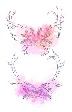 Tüy, gül ve hafif suluboya sıçramaları ile geyik boynuzları seti. Beyaz arka plan üzerinde anahat çizim. Davetiyeler, tebrik kartları ve yaratıcılığınız için vektör kabile elemanı.