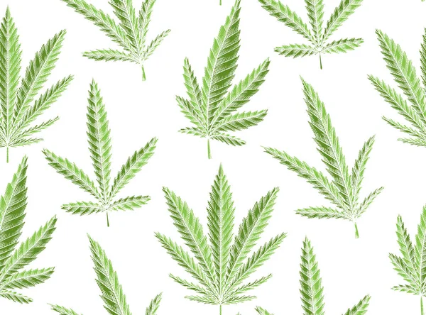 Bezešvá Textura Zelených Listů Marihuany Bílém Pozadí Struktura Vektorových Bylin — Stockový vektor