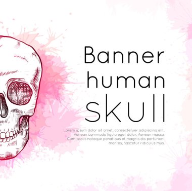 Pembe suluboya sıçramaları ve metin için yer kuluçka ile insan kafatası çizim ile Afiş. Ön görüş. Kontur sanatı. Gravür şablonu