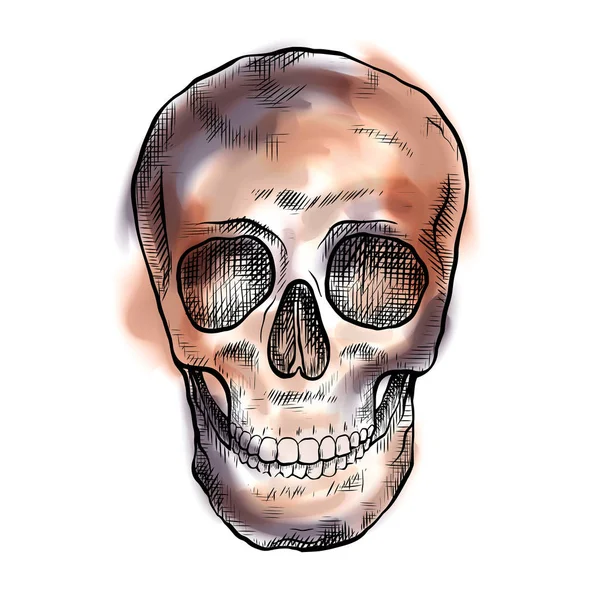Desenho de um crânio humano com traços de eclosão e aquarela. Vista frontal. Desenho místico . —  Vetores de Stock