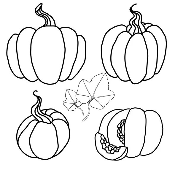 Conjunto de bosquejo de dibujos animados diferentes calabazas con follaje. Cosecha de otoño. Dulces de arte de línea para Acción de Gracias. Vector monocromo — Archivo Imágenes Vectoriales