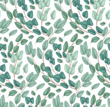 Beyaz arka planda düz okaliptüs populusunun kusursuz dokusu. Yapraklı çizgi film dalları. Duvar kağıdı, kumaş ve tasarımınız için doğal vektör renk dokusu.