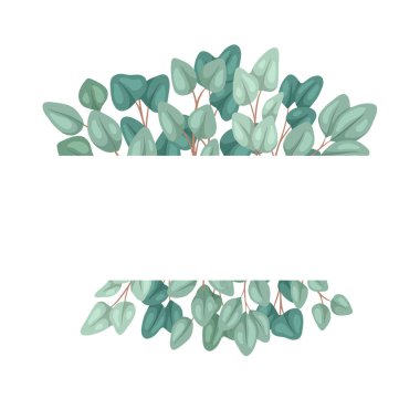 Düz okaliptüslü yatay çerçeve ve metin için yer. Okaliptüs populusunun botanik renk çizimi. Davetiye, tebrik kartı ve yaratıcılığınız için vektör renk şablonu
