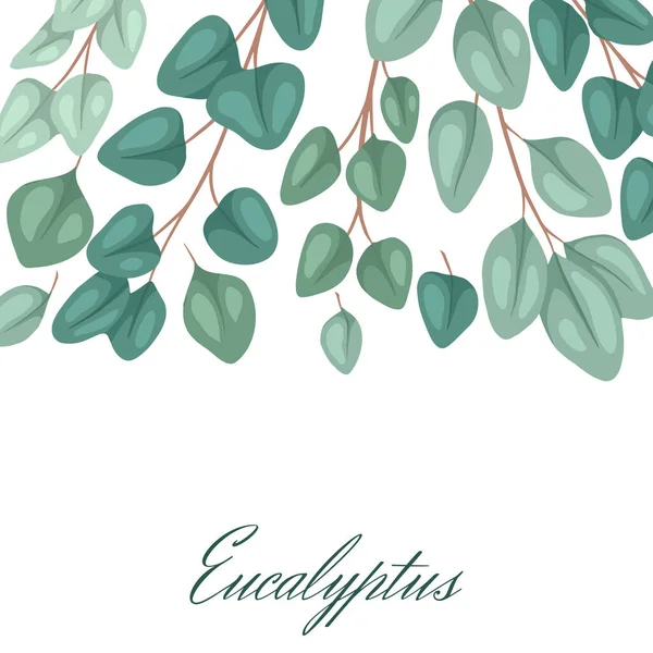 Square Postcard Flat Eucalyptus Place Text Botanical Color Illustration Eucalyptus — Stock Vector